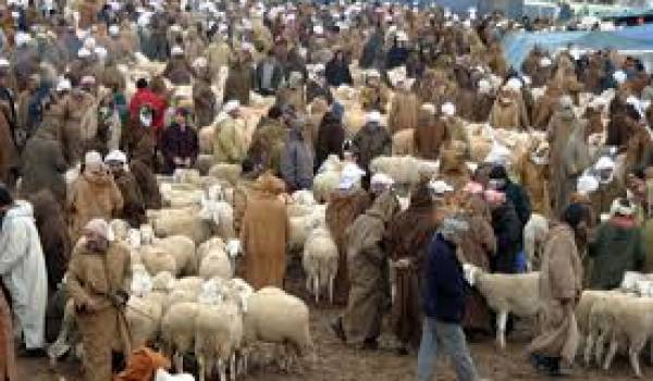 L'achat de moutons a saigné les familles.