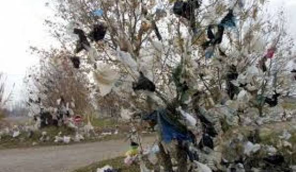 Les milliards de sacs en plastique ont pollué l'environnement algérien.