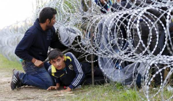 Illusoire mur de barbelés pour empêcher les migrants de traverser l'Europe.