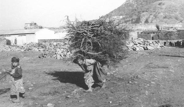 La femme algérinne, le souffre-douleur de l'homme