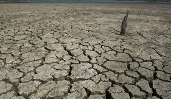 Le réchauffement climatique aura des conséquences désartreuses sur l'Algérie.