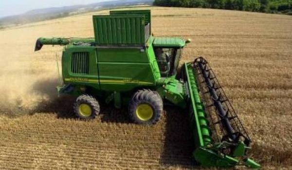 Le ministre de l'Agriculture avance viser l'autosuffisance en blé dur dès cette année. 