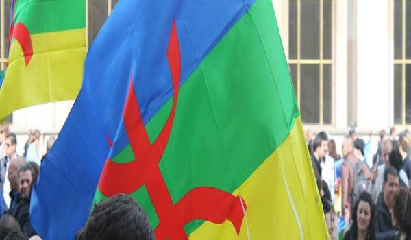 Dans sa vision manichéenne, le législateur a minoré la dimension de tamazight.