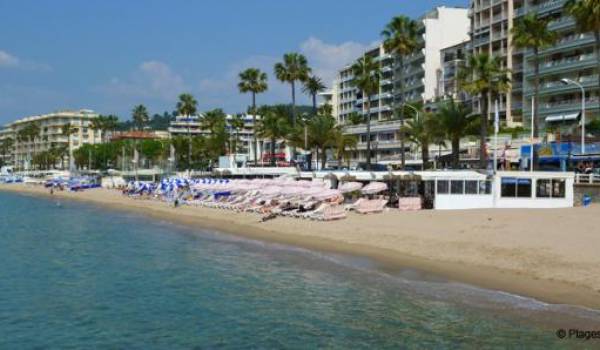 Les plages cannoises sont interdites aux femmes portant le burkini.