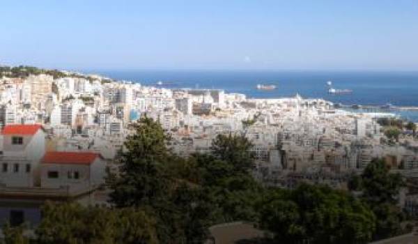 Aidons à la création d’un café littéraire à Alger !