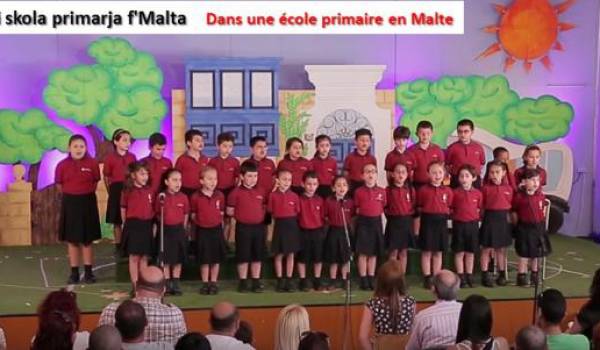 Le maltais, le parler algérien, une langue officielle transcrite en caractères latins (IV)