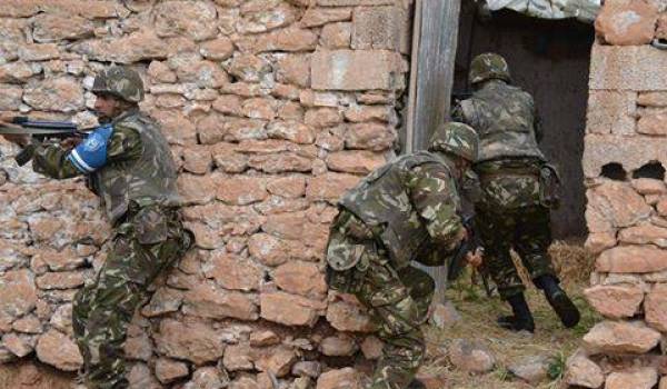 Des soldats de l'ANP en opération.