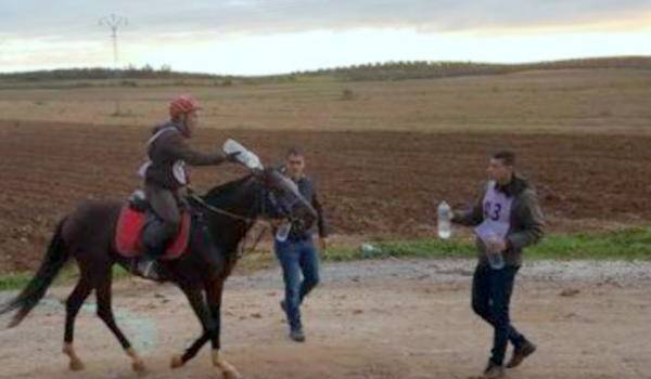 Équitation: l’Algérie remporte le raid d’Endurance 120 Km de Tunis