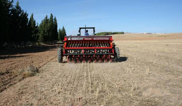 Les terres agricoles se raréfient en Algérie.