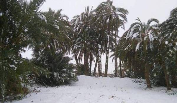 Images. Le Sahara algérien s'habille d'un manteau blanc