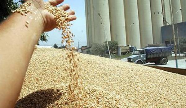 Le coût d'importation des céréales est de 2,54 milliards de dollars