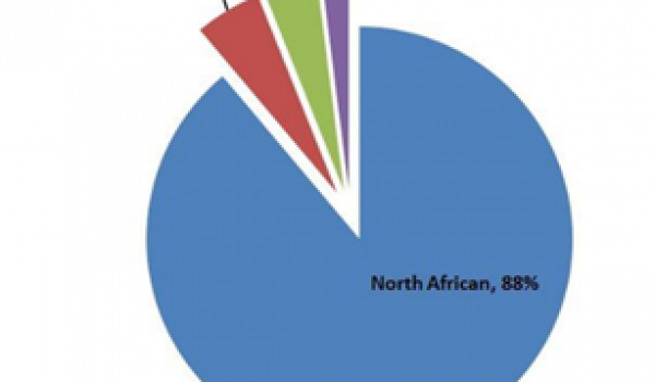 La génétique a tranché : des pays arabes pas si Arabes, l’ADN Nord-Africain présent sur quatre continents