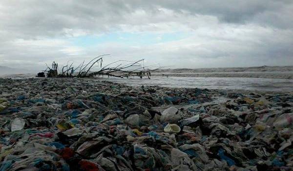 La pollutions a gagné tout le milieu.