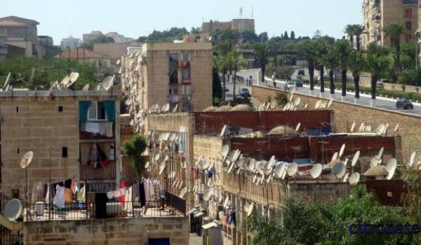 Les paraboles qui surplombent les immeubles sont la meilleure preuve de cette soif médiatique des Algériens.