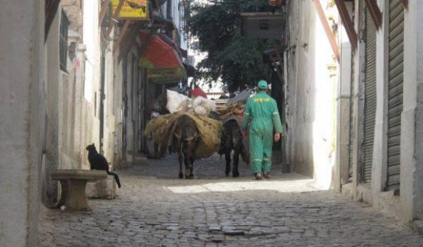Ils arpentent la Casbah pour la garder propre.