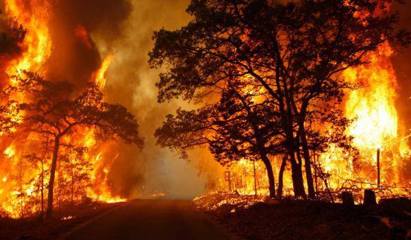 Près de 32 000 ha de couvert végétal partis en fumée depuis le début de l'été.