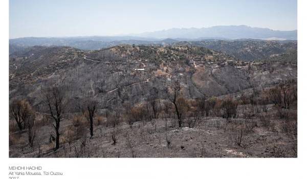 Plus 150 incendies enregistrés en 24 heures en Algérie