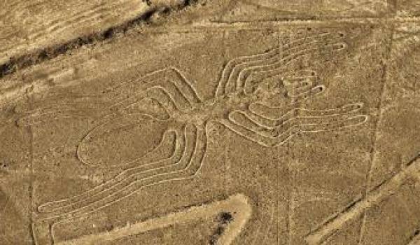 Les incroyables reliques de Nazca