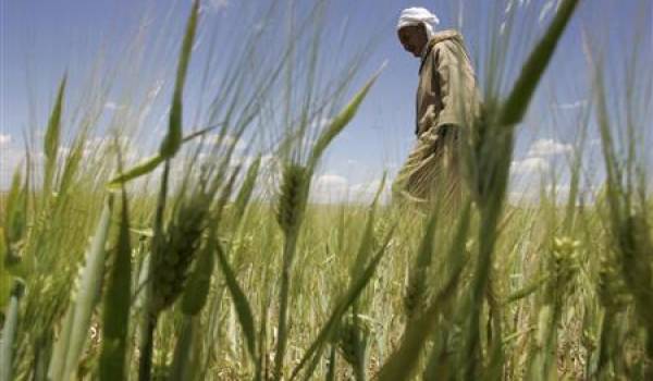 Le retard dans la mécanisation et l'irrigation pris par le monde agricole est très important.