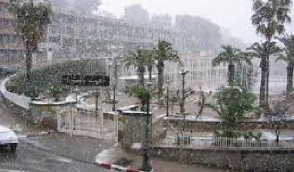 Les rues d'Alger sous les flocons.