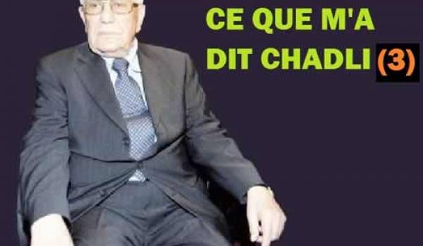 3. «Sans moi, Bouteflika aurait été jeté en prison…»