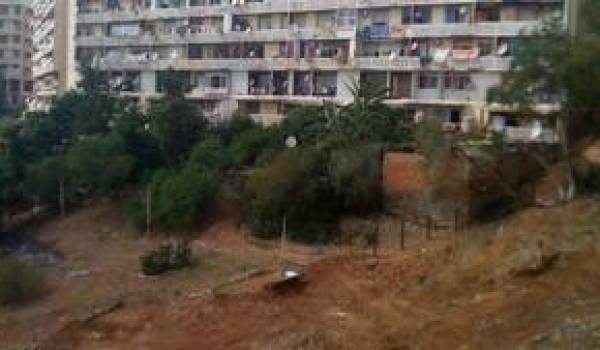 Cité Bois-des-Pins (Alger) : aux origines du conflit