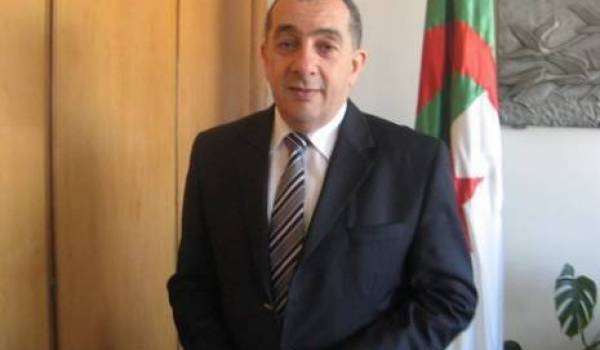 Lobbies, mafias, pressions et jeux de gangsters : Lamentable mic mac à Air Algérie