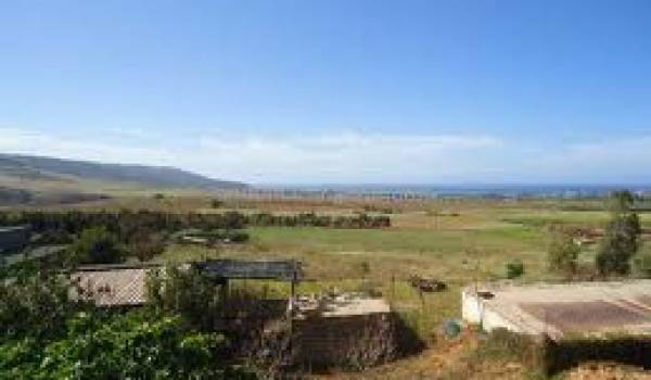 Les terres agricoles se réduisent en peau de chagrin à Oran.