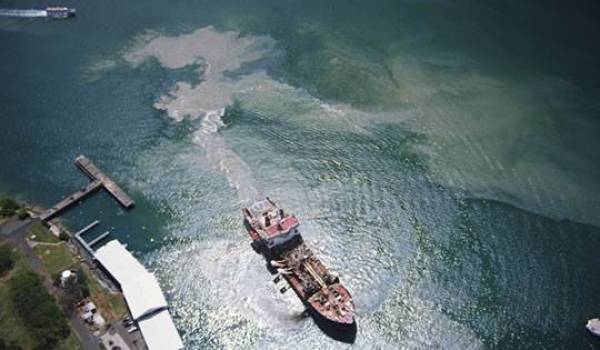Dégazage sauvage de navires sur les côtes oranaises