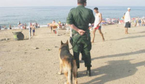 Algérie : Le gouvernement redoute des attaques sur les plages